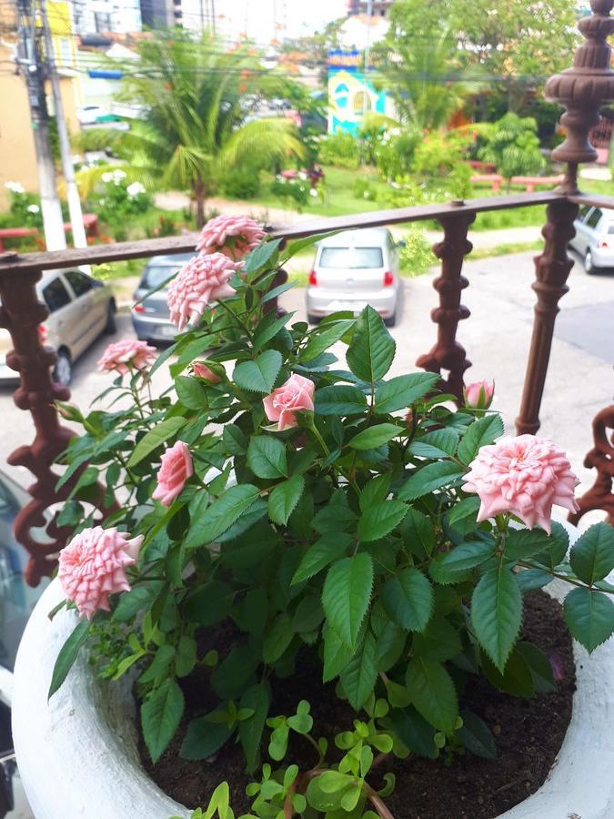 Maceió Casa Da Josi - Pajucara 아파트 외부 사진